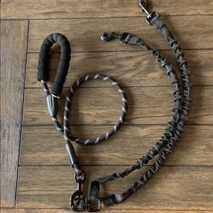 Dual dog leash
